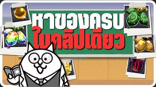 มือใหม่เกมแมว ต้องรู้! ของแต่ละอย่างหาได้จากไหน? | The Battle Cats screenshot 5