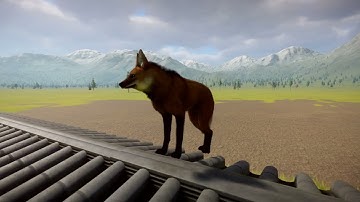 Maned Wolf | Planet Zoo Animals