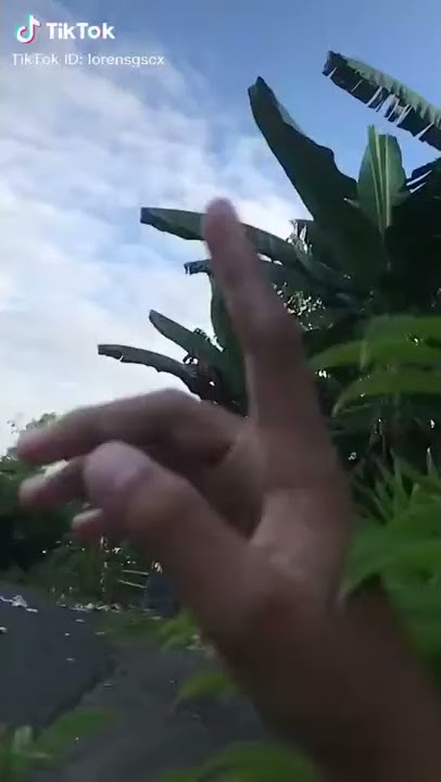 tik tok lucu