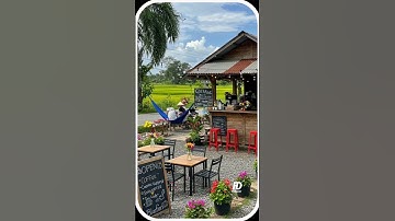 Suasana Sore di cafe pinggir sawah yang asri dan sejuk di lingkungan pedesaan #nature #pedesaan