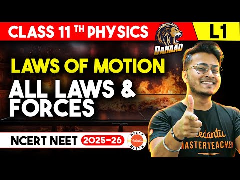 All Laws &