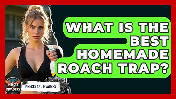 What Is The Best Homemade Roach Trap? - Insects and Invaders