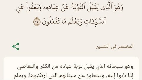 تلاوة ندية بصوت القارئ محمد الوكيل من سورة الشورى