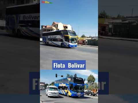 Flota Bolivar | Buses Bolivianos