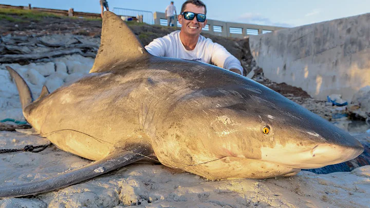 REVENGE on MASSIVE Bull Shark! Catch Clean Cook! - DayDayNews
