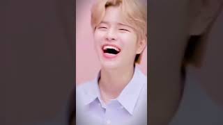 Stray Kids Members Laugh