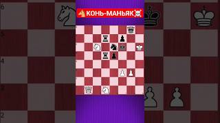 💥СТРАШНАЯ МЕСТЬ КОНЯ #chesspuzzle #шахматныезадачи #шахматы #chess