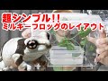 超シンプル『樹上性カエル』ケージレイアウト ミルキーフロッグの飼い方 他のツリーフロッグにも応用できます。