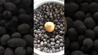 Engraving Patterns on Small Gourds Using a UV Laser Marking Machine