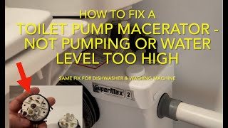 How to Fix a Toilet Macerator not Pumping / Water level too high