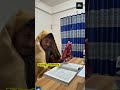 পড়তে বসার ২ মিনিট পরেই আমি! 🤣 | Student Funny Reality | Study vs Dustami 😂
