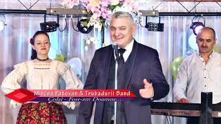 Mircea Patovan & Trubadurii Band - S-o dus mandra nu mai vine ( Folclor Ardeal)