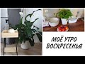 Моё воскресное утро| Покупки для дома: ИКЕА & IHERB