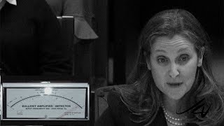 Angry Canadian June 15, 2022 - Chrystia Freeland Stone Walled The Special Joint Committee