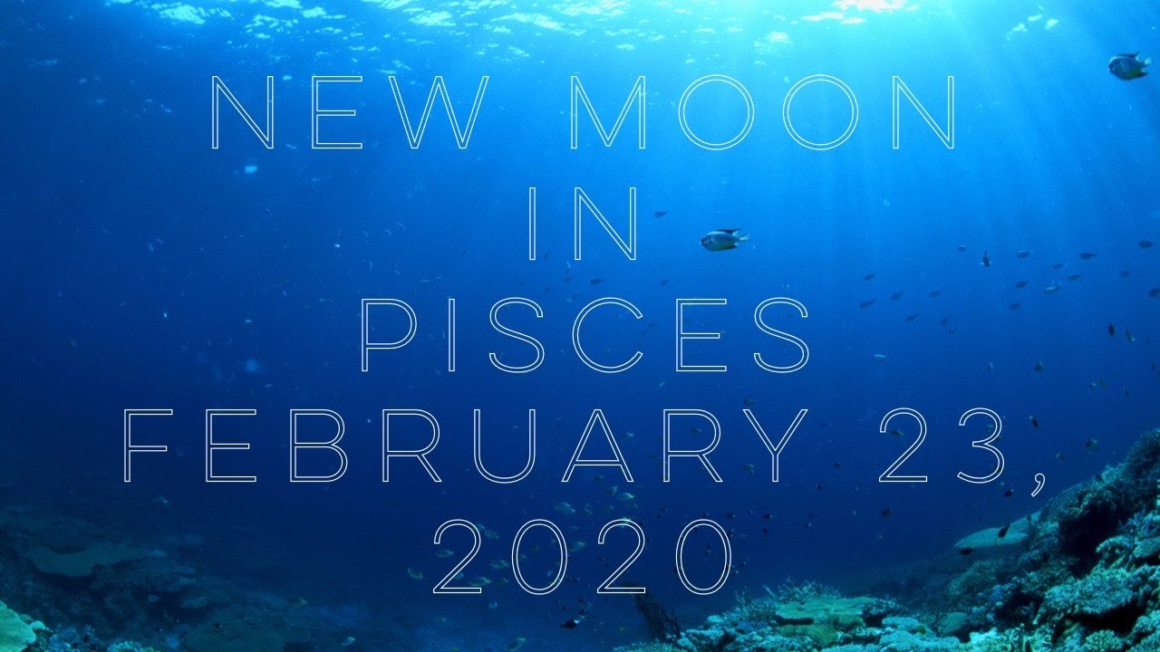 New Moon in PiscesPossibility of the New Dream February 23, 2020 YouTube