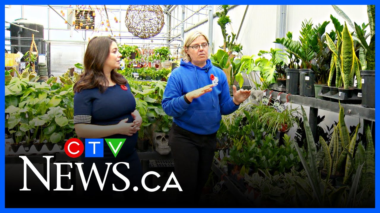 Get Growing: Gifts for green thumbs