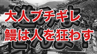 【うなぎ戦争】高知で1番大人が怒られる祭り「川上様夏祭り」＃うなぎの掴み取り＃うなぎ＃祭り＃移住芸人おすすめ
