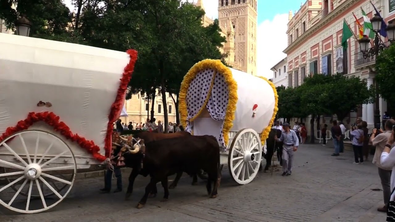 Rocio de Sevilla 2022 Salida