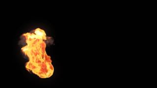 TFD Torch Test #1
