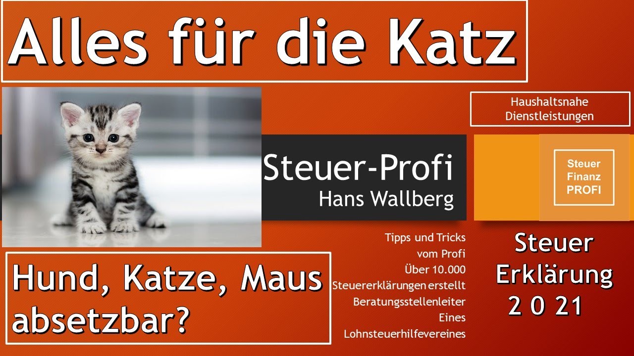 Alles für die Katz, Haustiere von der Steuer absetzen? Steuer-Finanz-Profi, Mehr Geld vom Finanzamt!