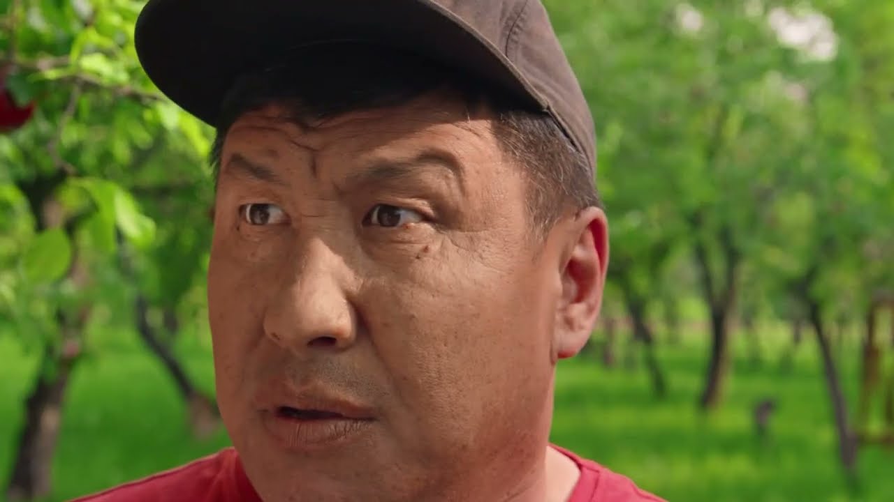 Серия роликов Arbuz.kz