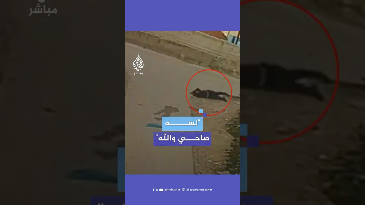"لسة صاحي والله".. صدمة والدة شهيد خلال وداع ابنها في الخليل