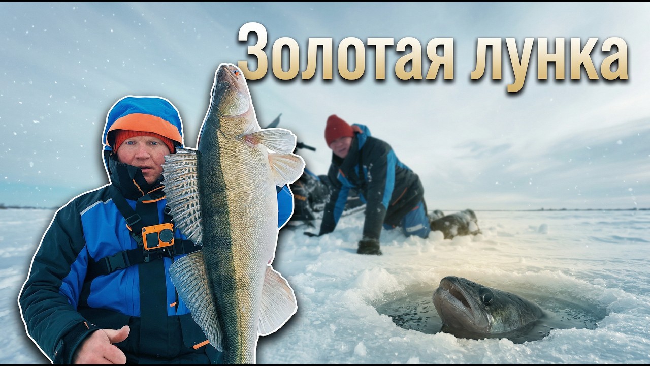 Долгожданные судаки в конце зимы в д. Быргында на Каме.