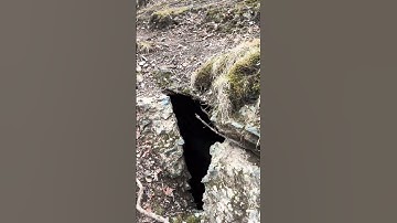 Secret abandoned tunnels in the woods…would you go inside?#underground #explore #adventure #newyork