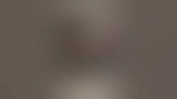 Pawgs Tiktok Itsjustliloriginal Tiktok Shorts Pawg 