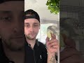DOG ATTACKED COCKATIEL! Aftercare and daily living since the attack.