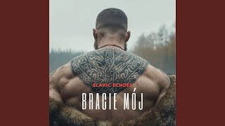 Download Lagu Bracie Mój Download Lagu Bracie Mój