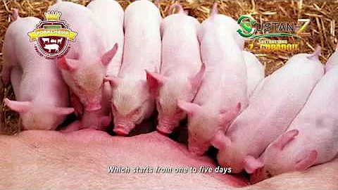 POST AND PRE WEANING DIARRHEA