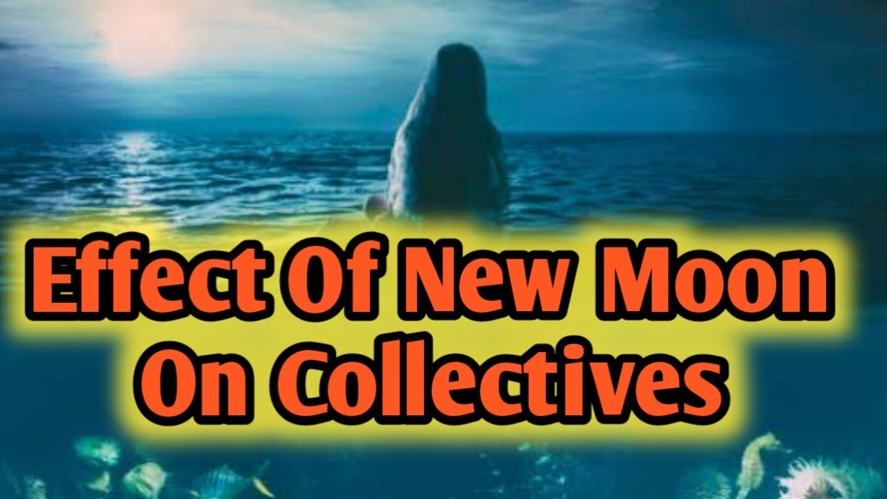 Effect Of New Moon 🌙 On Collectives 😱☯️ All Signs Collective Timeless ...