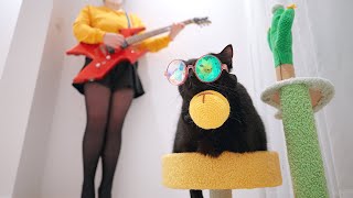 『Lucky Paws』Music Video (MV) - NO.1 Cat Band