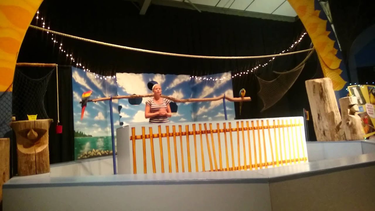 Parrot show, pleasure wood hills,great Yarmouth YouTube