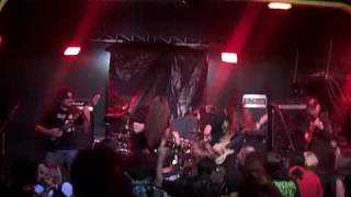 Watch Engorged Stinger video