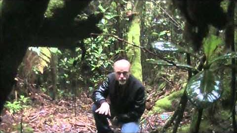 Namespaces, a Basic Approach