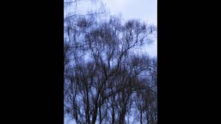 헌인릉 -1  H6D vacksbook 20211104