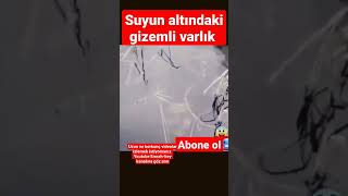 Suyun Altındaki Gizemli Varlık