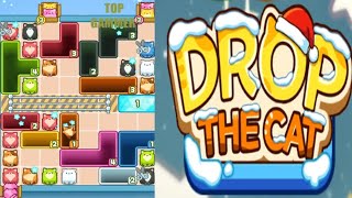 Drop the Cat! level 304 gameplay walkthrough solution