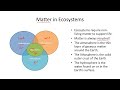Ecology Unit Quiz