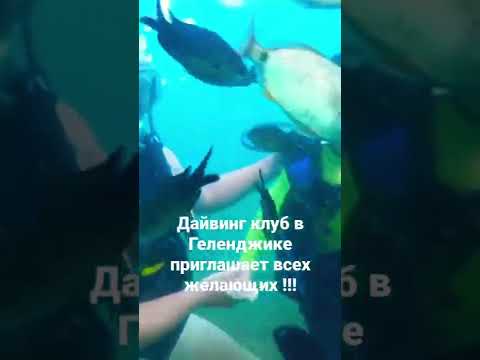 Детский дайвинг в