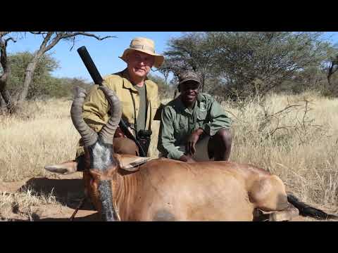 Video: Na Safari v Namibii