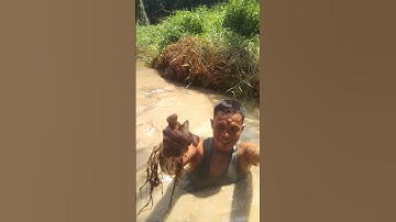 ini cara kami menangkap ikan yang alatny cuma pake tangan kosong 👍👍