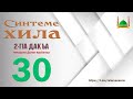 30. Синтеме хила! Хьан рицкъ АллахIехь ду