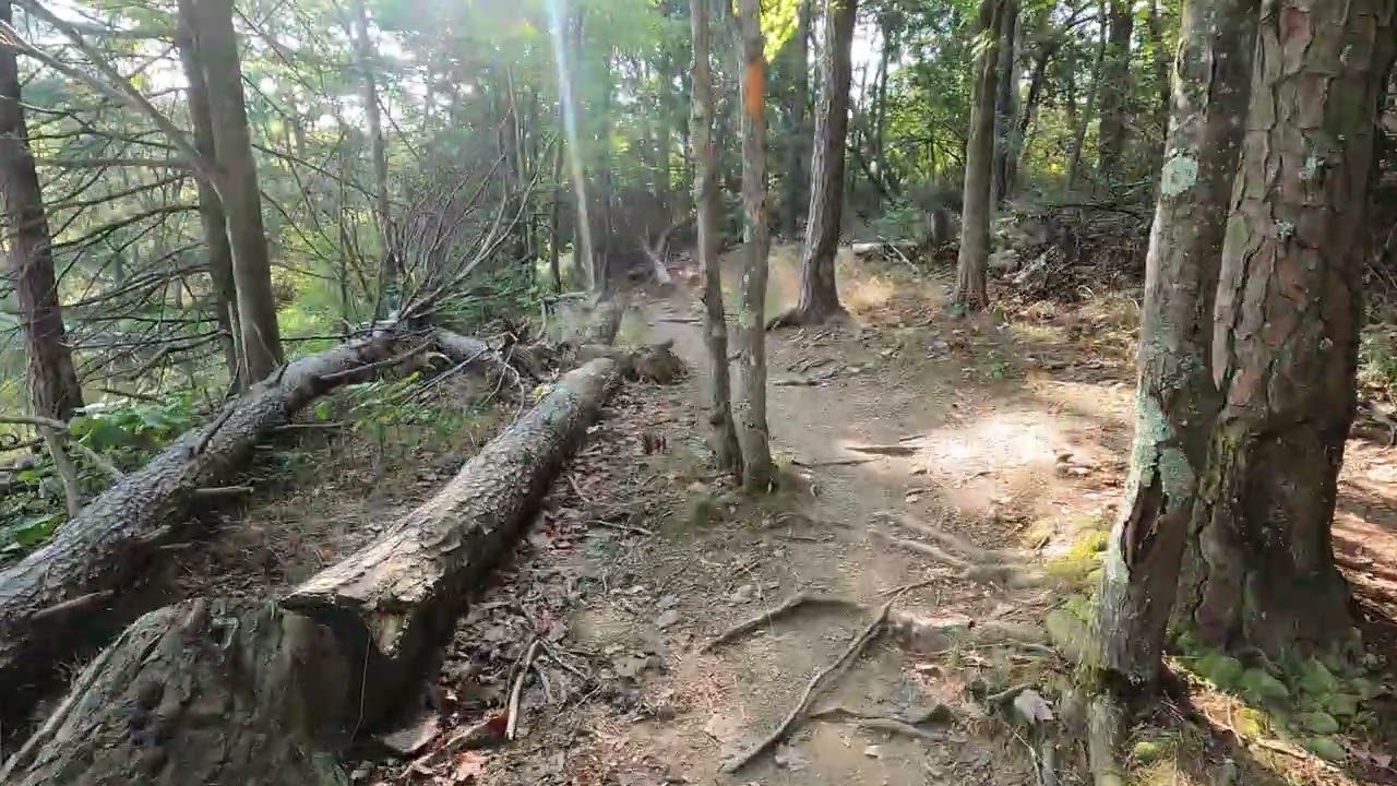 Rocky Gap - Lakeside Loop Trail - Section 1 - 2024-08-15