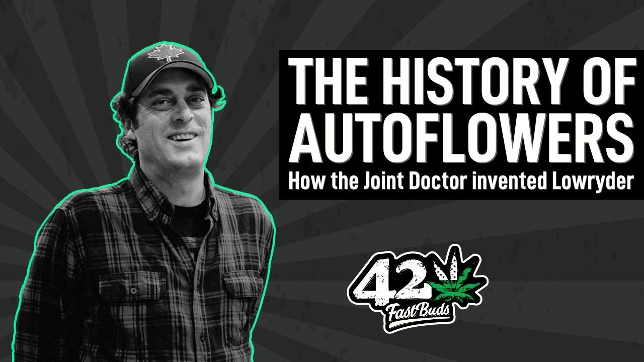 The History of Autoflowers | How the Joint Doctor created Lowryder | Fast Buds Talks