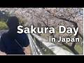 Why Do Japanese Go Cherry Blossom Viewing? 🌸 Soba, Shrine &amp; Temple Stamp in Japan