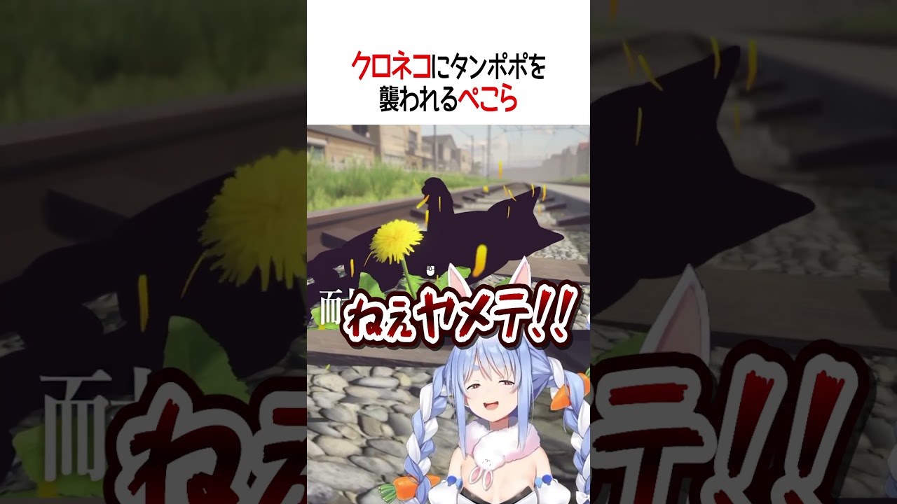 クロネコにタンポポを襲われるぺこら【ホロライブ切り抜き/Hololive】#shorts