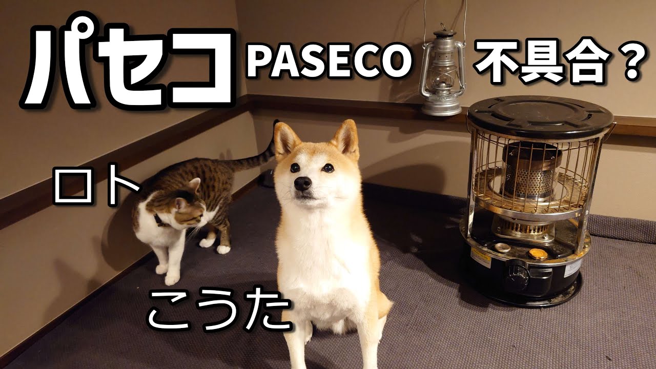 PASECO(パセコ)の石油ストーブ購入から1年経って不具合が！？ - YouTube